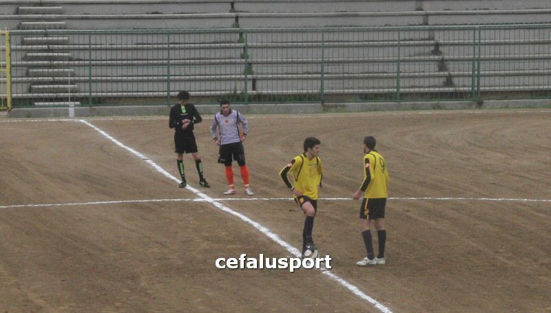 120310 stefanese 042y_tn.jpg